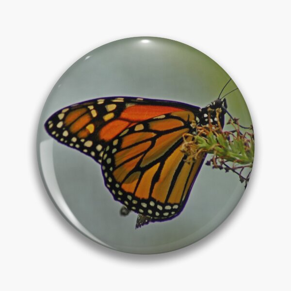 Item preview, Monarch Butterfly designed and sold by Random Railways.