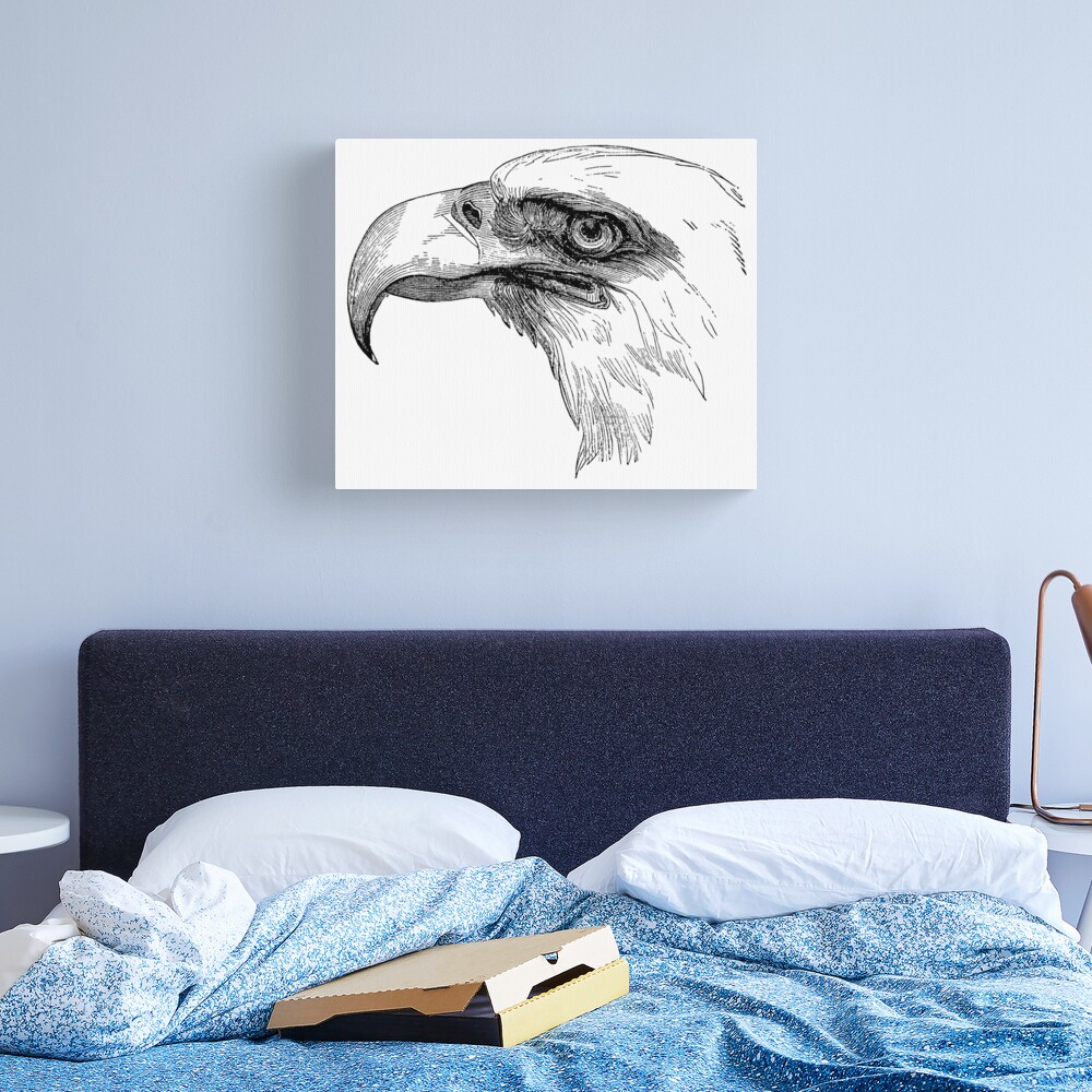 Vintage Bald Eagle Bird Head Illustration Retro 1800s Black and White Eagles  Birds Image Canvas Print for Sale by SilverSpiral