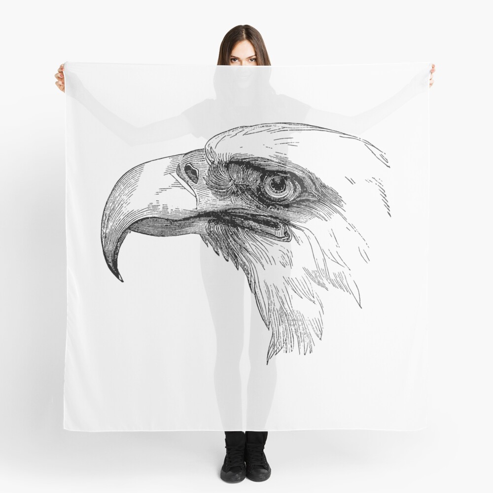 Vintage Bald Eagle Bird Head Illustration Retro 1800s Black and White  Eagles Birds Image | Scarf