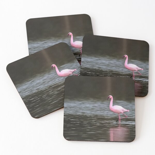 Item preview, Lesser Flamingo In A Solar Spotlight designed and sold by taiche.