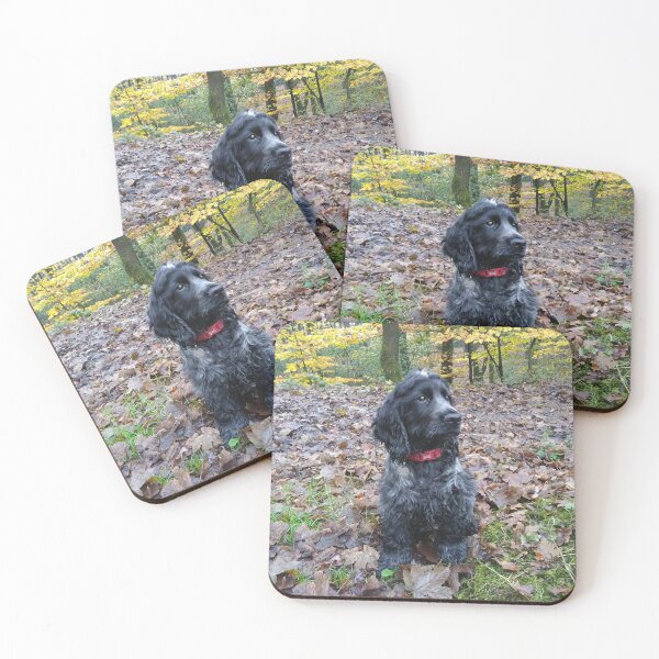 Item preview, Cocker Spaniel in the woods designed and sold by Rivvyarts.