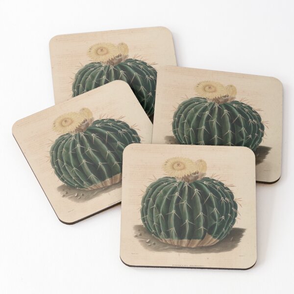 Item preview, Vintage Cactus Illustration - Echinocactus Sellowinnis designed and sold by xostarboyxo.