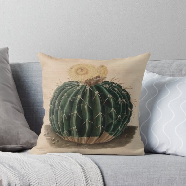 Item preview, Vintage Cactus Illustration - Echinocactus Sellowinnis designed and sold by xostarboyxo.