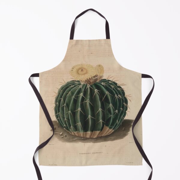 Item preview, Vintage Cactus Illustration - Echinocactus Sellowinnis designed and sold by xostarboyxo.