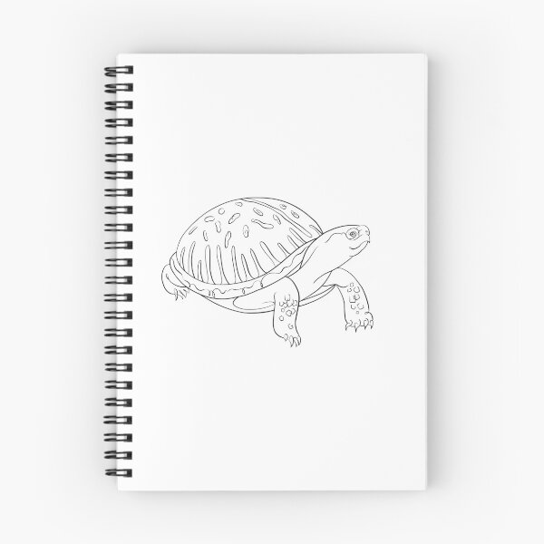 Item preview, Ornata box turtle designed and sold by NAEKO-animals.
