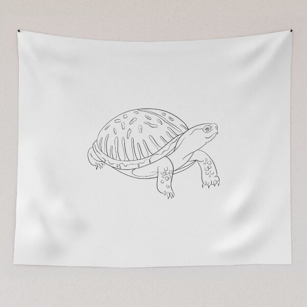 Item preview, Ornata box turtle designed and sold by NAEKO-animals.