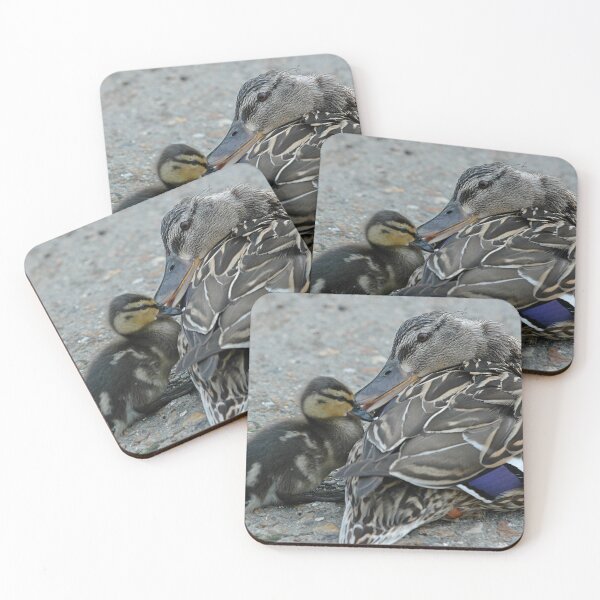 Item preview, Mallard mother duck and duckling designed and sold by Random Railways.