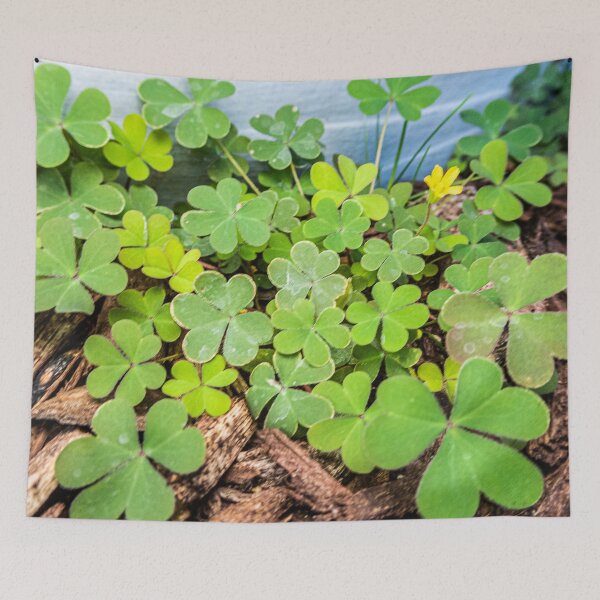 Item preview, 3 Leaf Clovers designed and sold by KensLensDesigns.