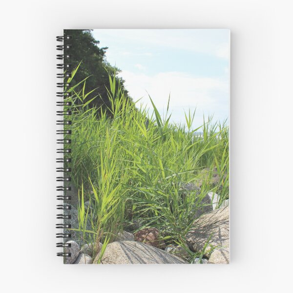 Item preview, Land and sea designed and sold by AlexEyck.