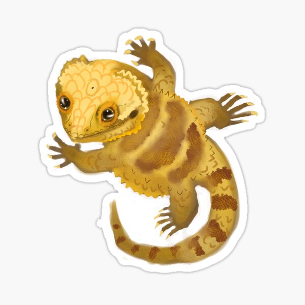 Item preview, Bearded Dragon designed and sold by perana.
