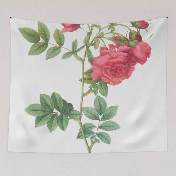 Item preview, Les Roses by Pierre-Joseph Redouté designed and sold by EsotericBotanic.