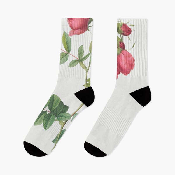 Item preview, Les Roses by Pierre-Joseph Redouté designed and sold by EsotericBotanic.