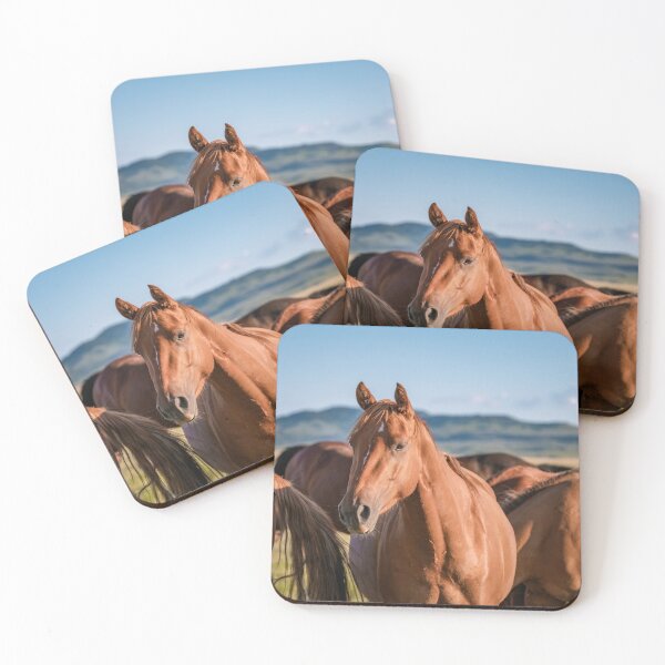 Item preview, Horse herd in Montana looking at camera designed and sold by BerryvineImage.