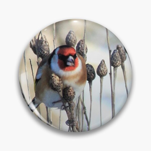 Item preview, Goldfinch 2 designed and sold by beavo.