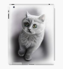 british shorthair kitten /Agat/ iPad Case/Skin