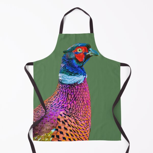 Item preview, A multi colour male Ring-necked Pheasant designed and sold by Dalyndigital Photography.
