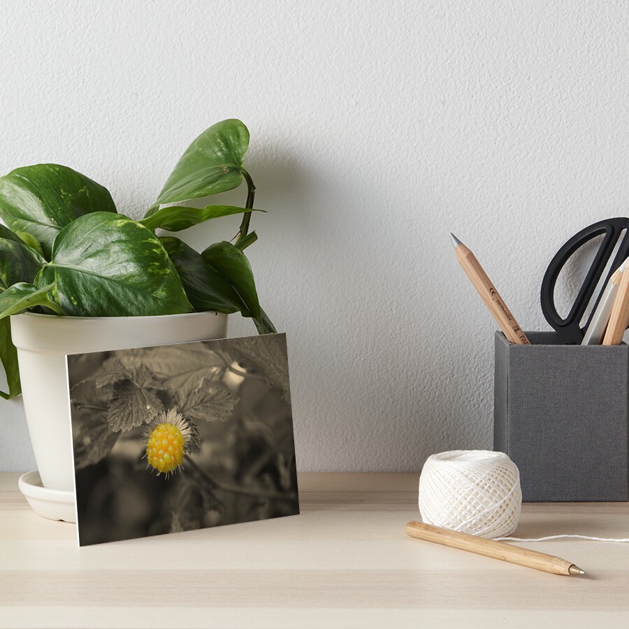 Item preview, Art Board Print designed and sold by swan2sky.