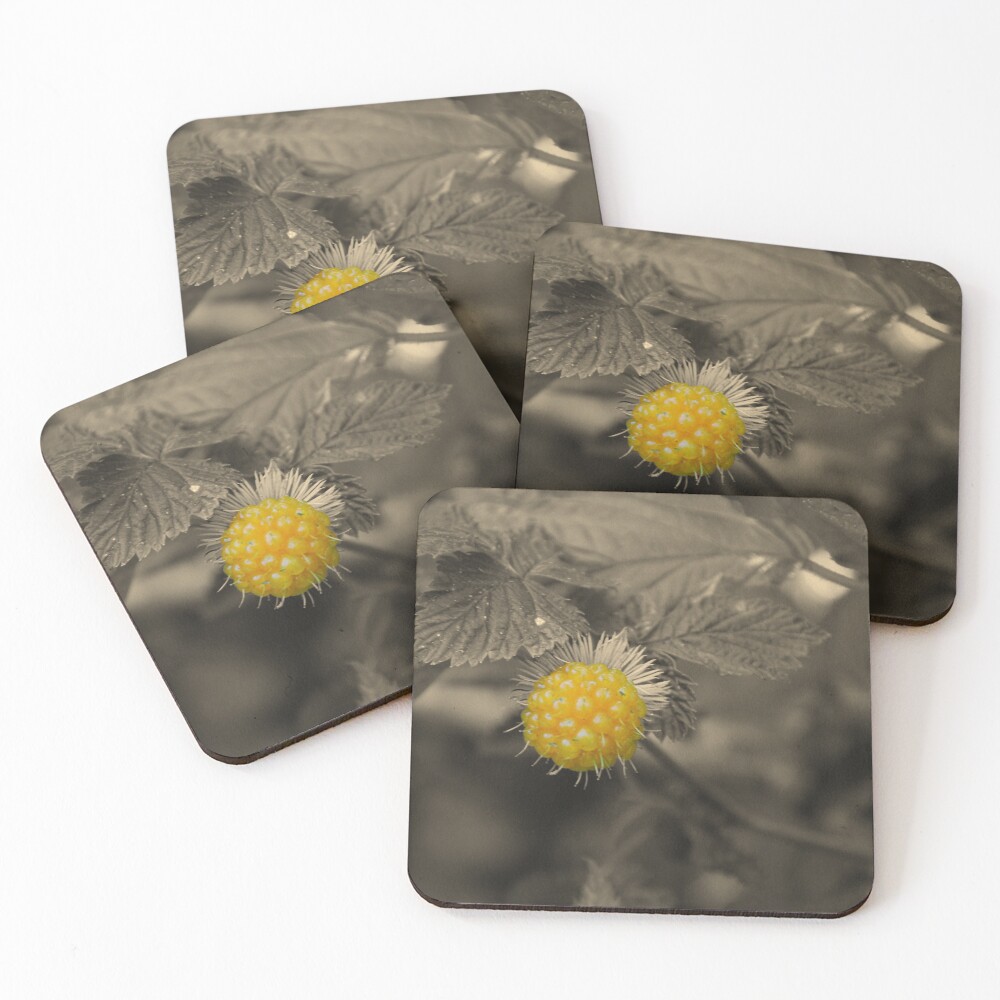 Item preview, Coasters (Set of 4) designed and sold by swan2sky.