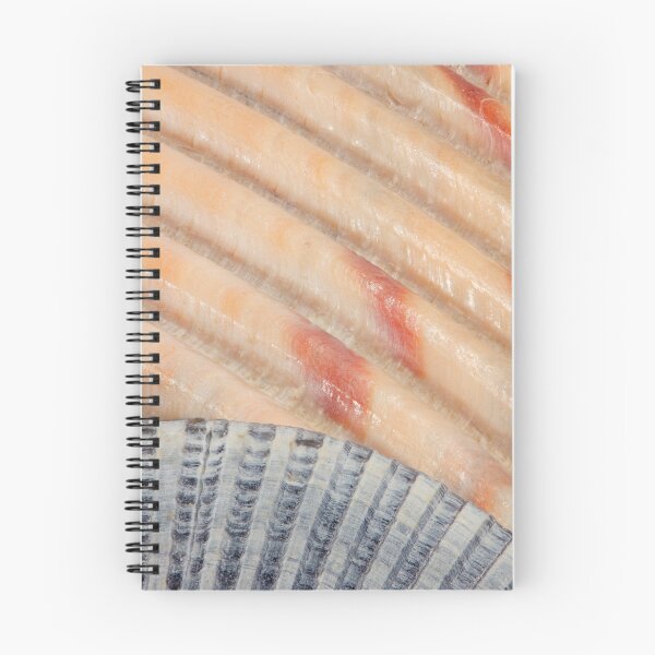 Item preview, Seashells designed and sold by WorldDesign.