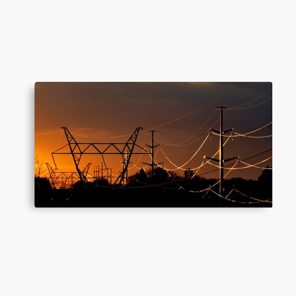 Item preview, Sunlit hydro wires designed and sold by Laurie Minor.