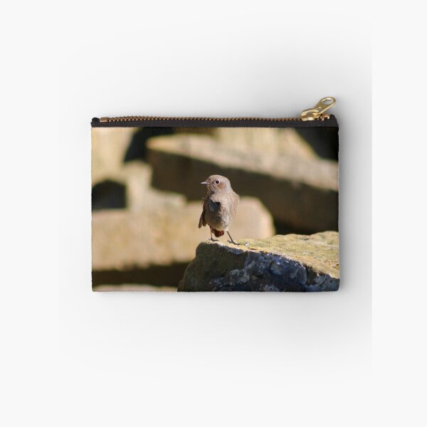 Item preview, Black Redstart (female) designed and sold by GreyFeatherPhot.