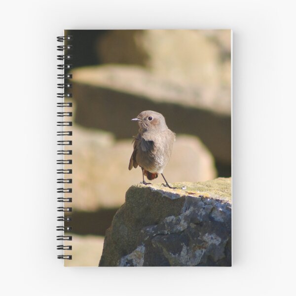 Item preview, Black Redstart (female) designed and sold by GreyFeatherPhot.