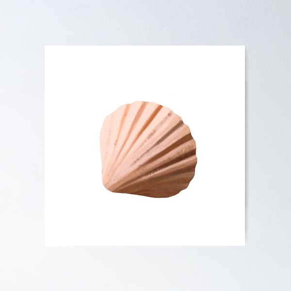 Artikelvorschau, Atlantis Sea Shell entworfen und verkauft von Cefani Musk.