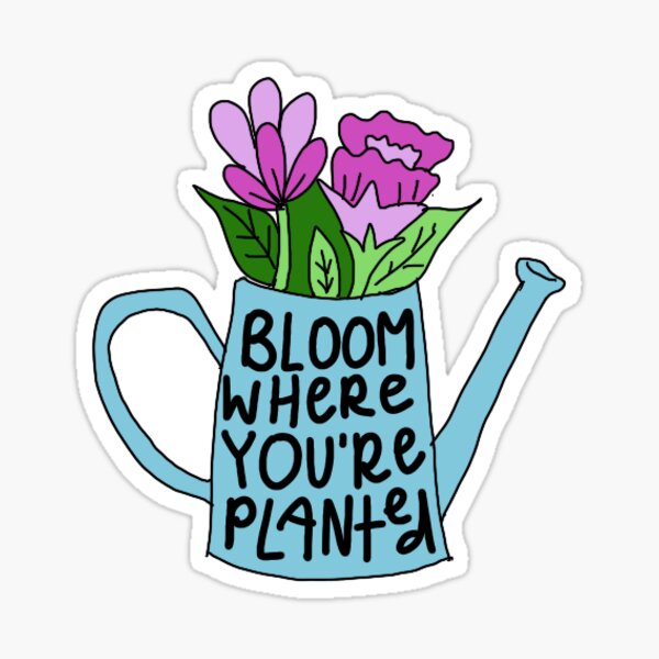 Bloom Where You Are Planted Sticker