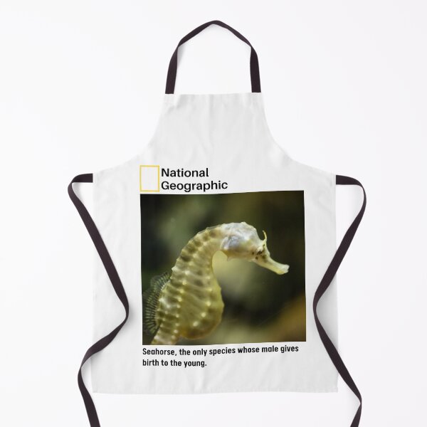 Item preview, Seahorse Interesting Fact designed and sold by being trendy.