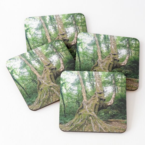 Item preview, Tree on Brayhead  designed and sold by LorLor88.