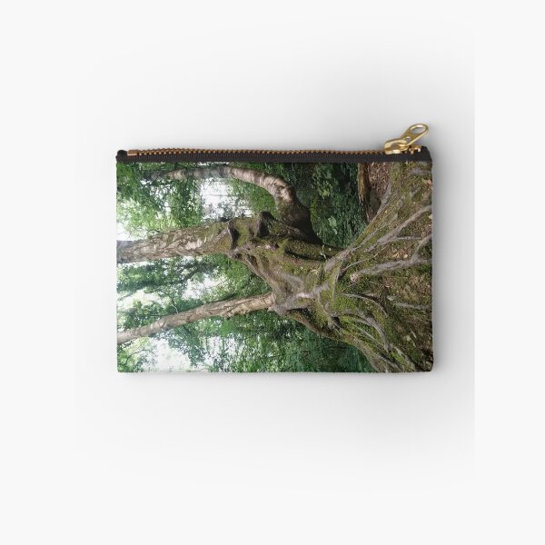 Item preview, Tree on Brayhead  designed and sold by LorLor88.