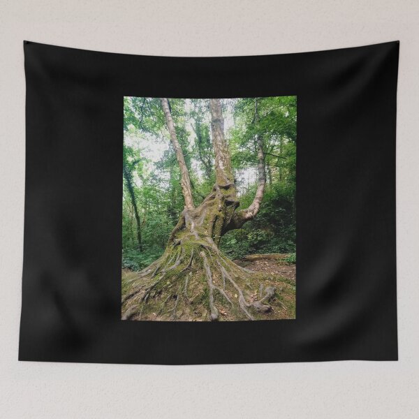 Item preview, Tree on Brayhead  designed and sold by LorLor88.