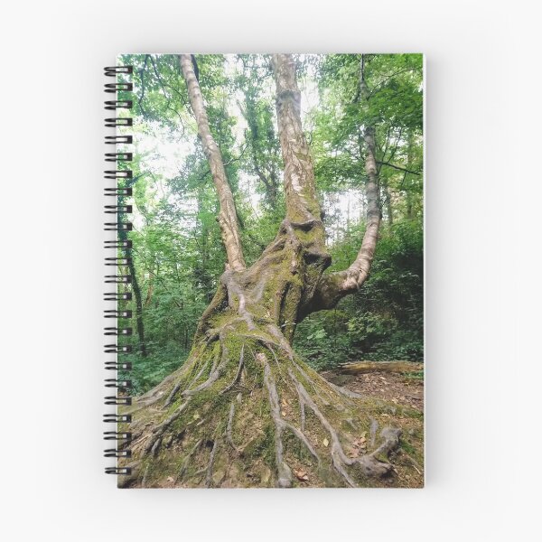 Item preview, Tree on Brayhead  designed and sold by LorLor88.