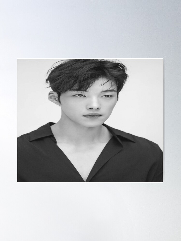 Woo do hwan the King eternal monarch Poster for Sale by KOppaKUnnie