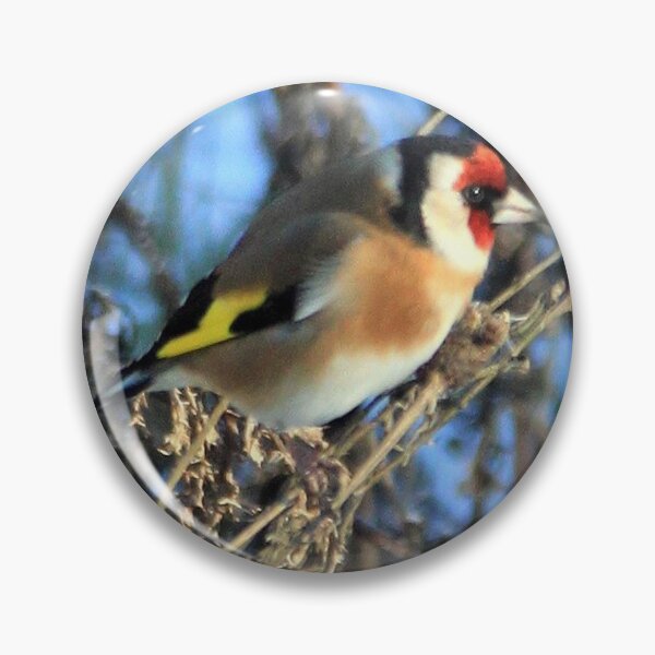 Item preview, Goldfinch 3 designed and sold by beavo.