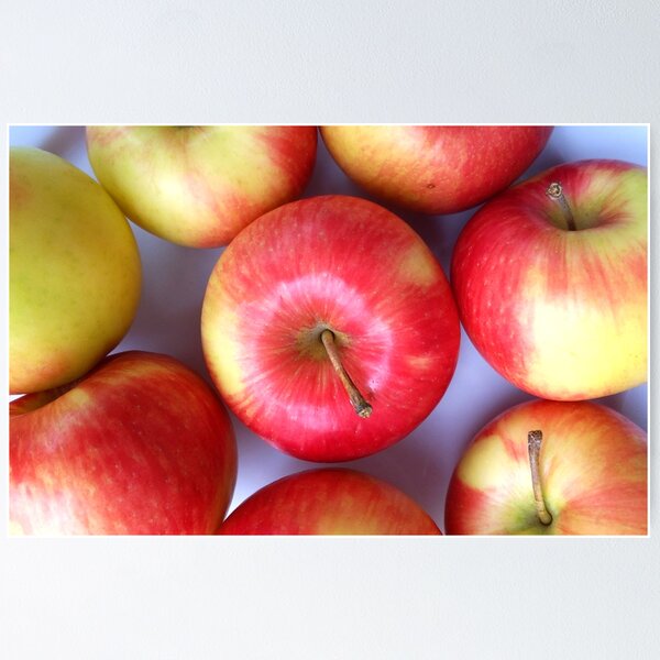 Item preview, So Many Apples designed and sold by SarahEmilyArt.