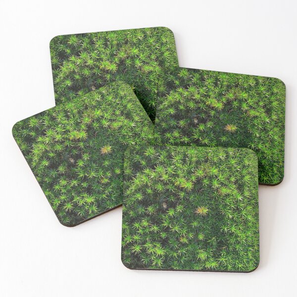 Item preview, Green moss, pure nature from the woods in the sunlight designed and sold by Between Clouds.