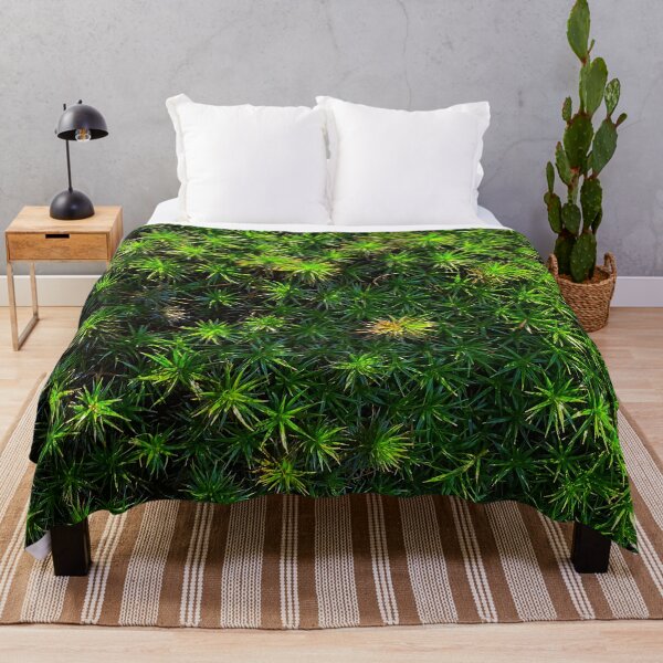 Item preview, Green moss, pure nature from the woods in the sunlight designed and sold by Between Clouds.