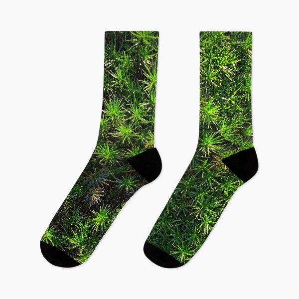 Item preview, Green moss, pure nature from the woods in the sunlight designed and sold by Between Clouds.