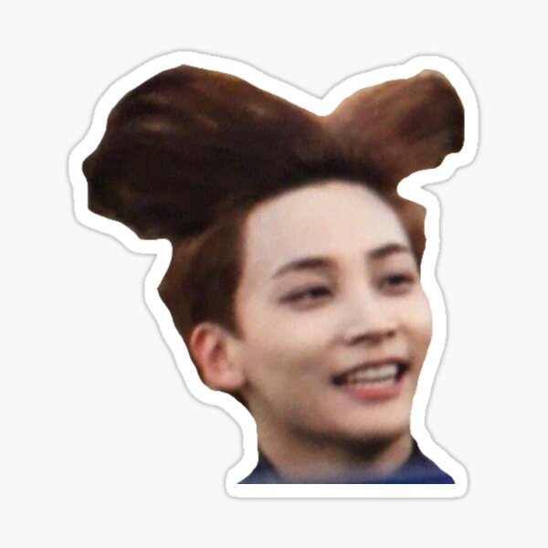 Jeonghan Flying Hair Sticker For Sale By Kpopdays Redbubble