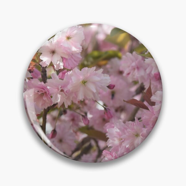 Item preview, Blossoming designed and sold by Johnny Griffin.