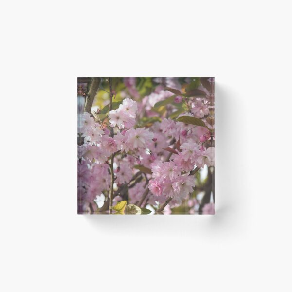 Item preview, Blossoming designed and sold by Johnny Griffin.
