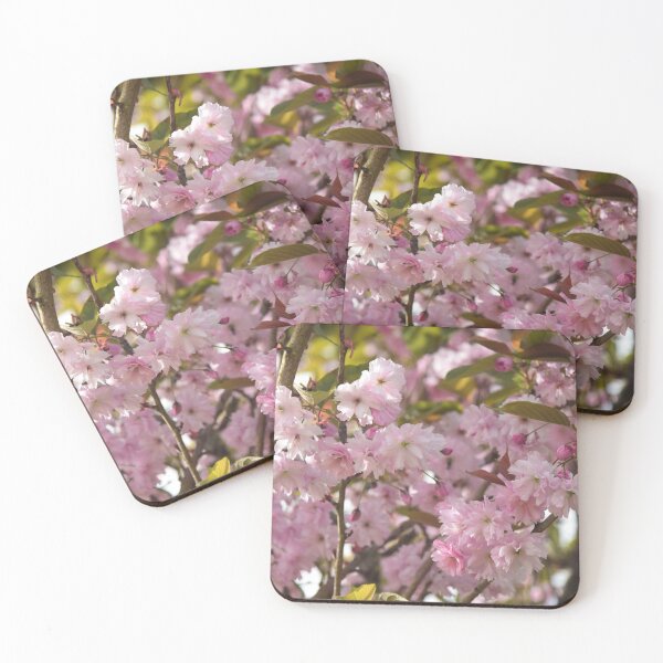 Item preview, Blossoming designed and sold by Johnny Griffin.