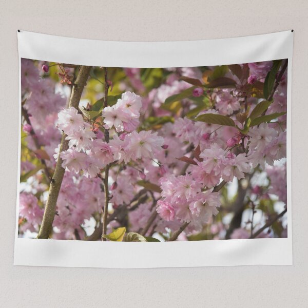 Item preview, Blossoming designed and sold by Johnny Griffin.