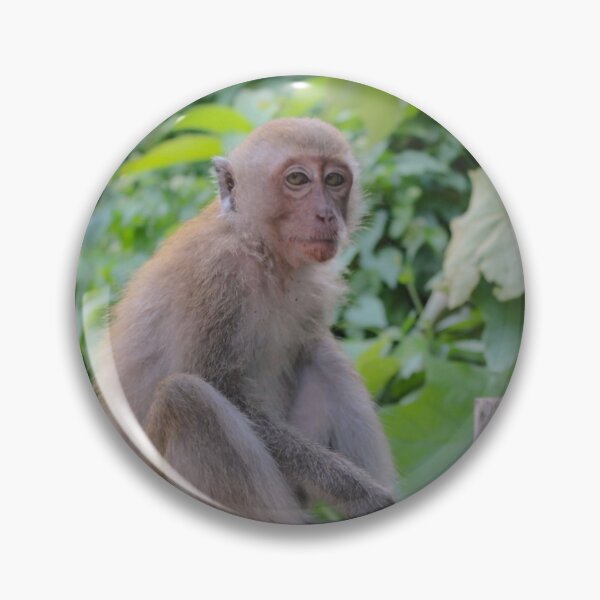 Item preview, Monkey in the Wild, Railay Thailand designed and sold by Bryony Rose.