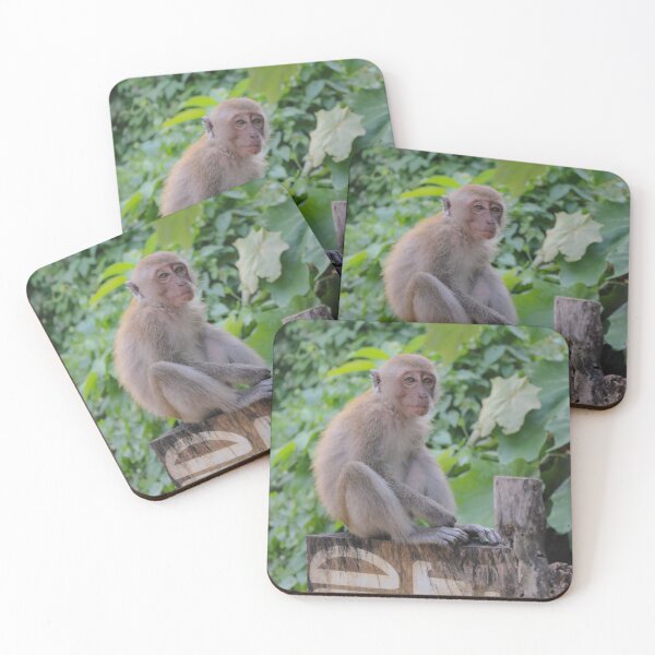 Item preview, Monkey in the Wild, Railay Thailand designed and sold by Bryony Rose.