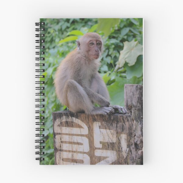 Item preview, Monkey in the Wild, Railay Thailand designed and sold by Bryony Rose.