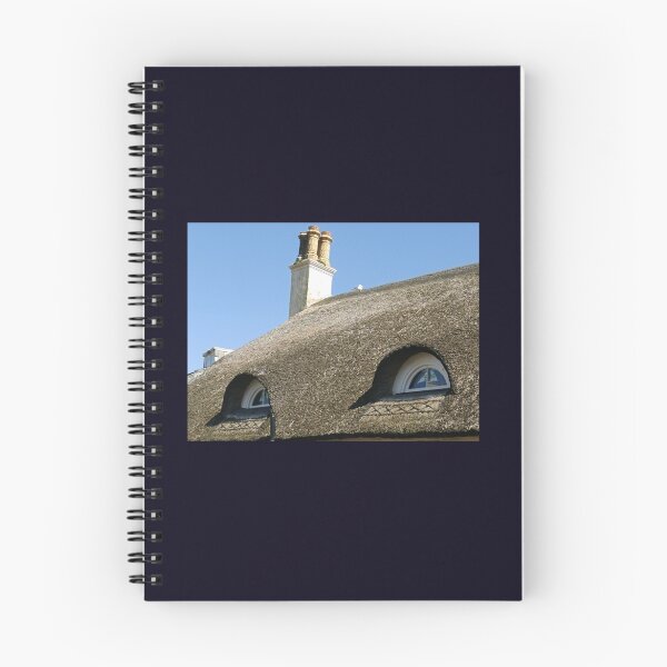 Item preview, Blue Eyes in the roof ........ Sidmouth, Devon UK designed and sold by lynn carter.