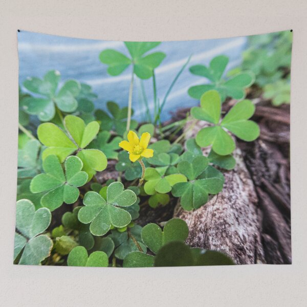 Item preview, Trout Lily & 3 Leaf Clovers designed and sold by KensLensDesigns.