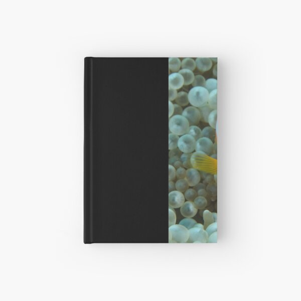 Black Anemonefish - Amphiprion melanopus Hardcover Journal